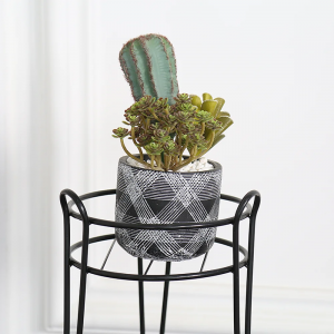 Decoration Frame Flower Plant with Round Pot for Garden PL08-3818